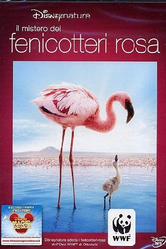 Mistero Dei Fenicotteri Rosa (Il)