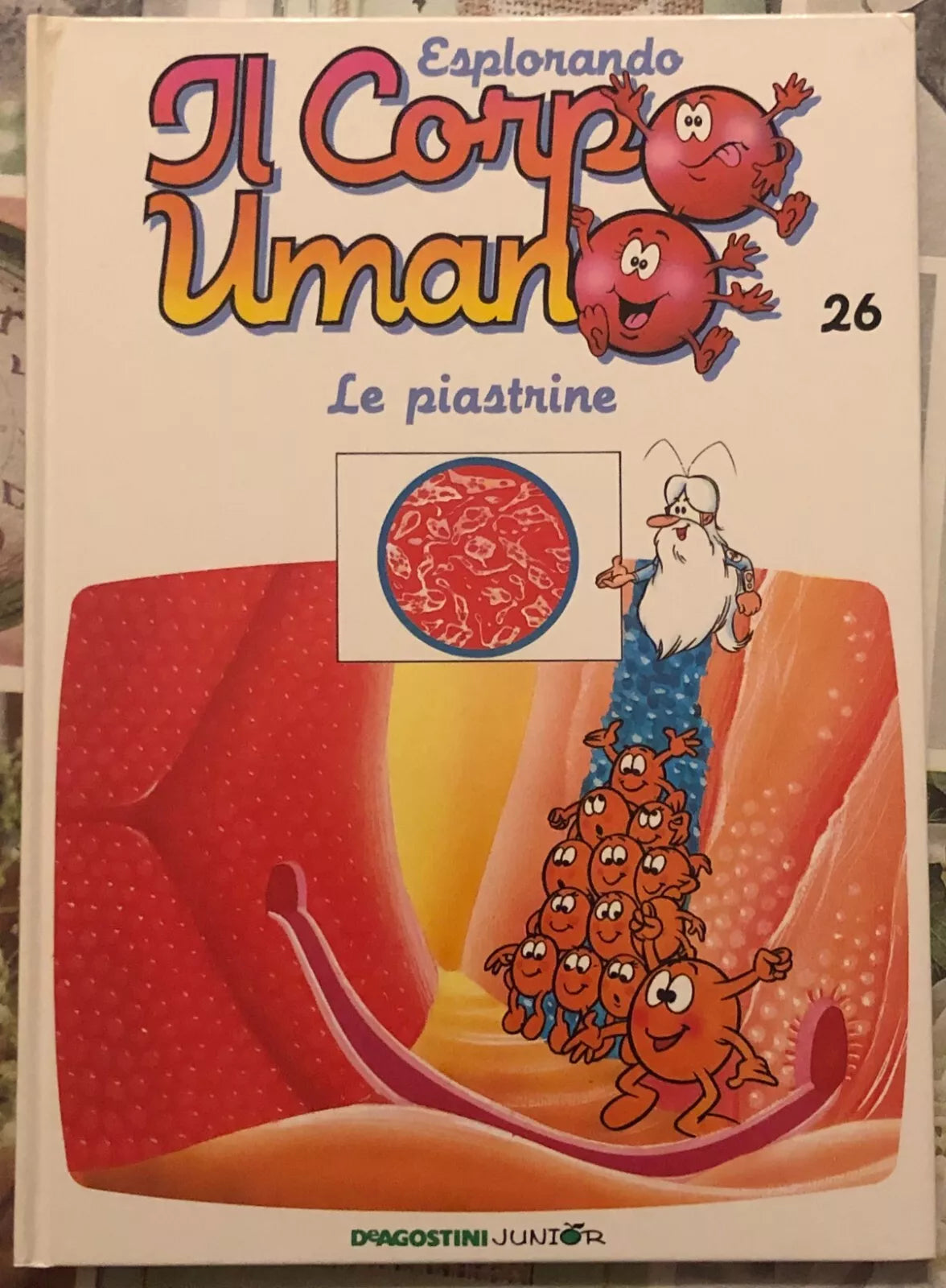 Esplorando il corpo umano n 26