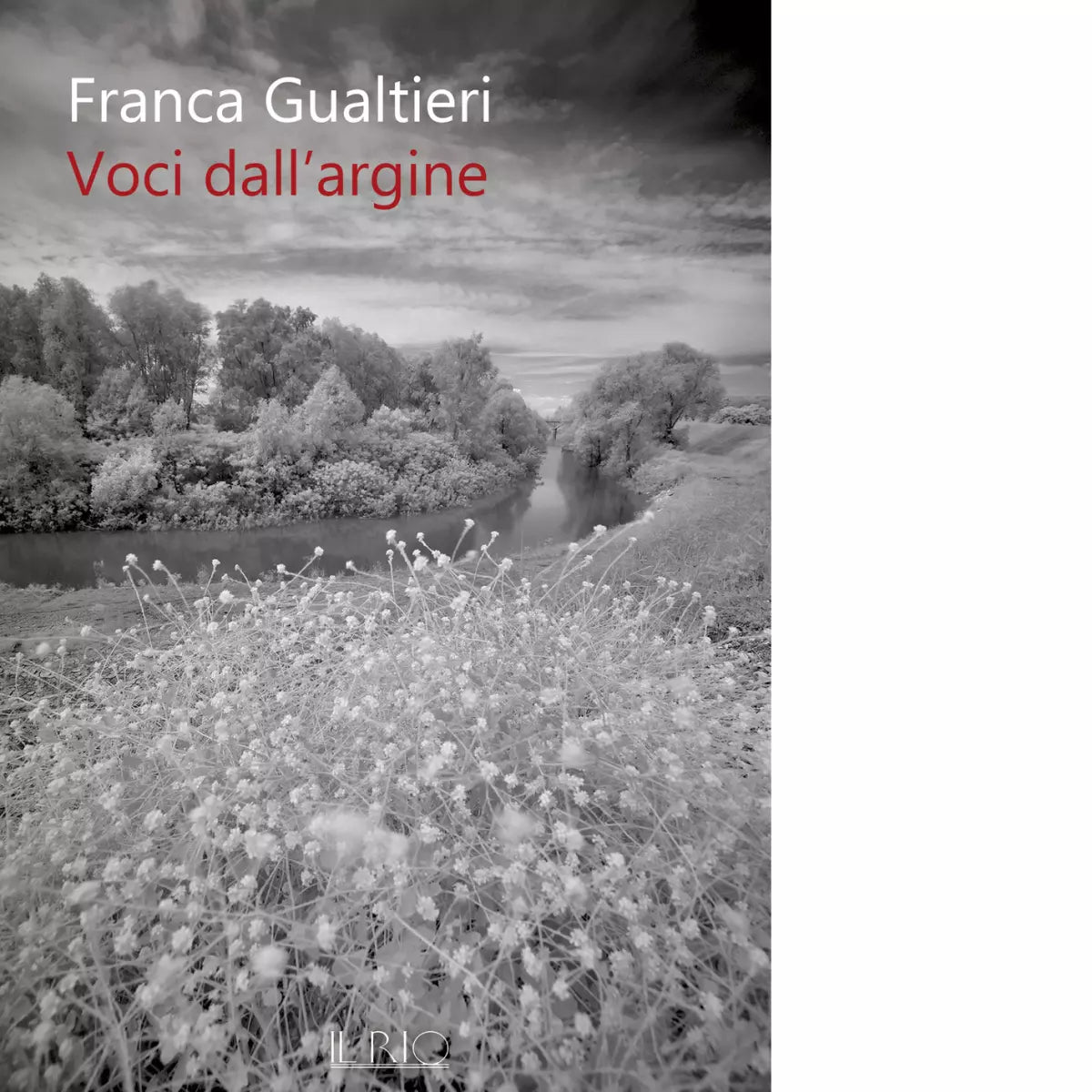Voci dall argine di Franca Gualtieri