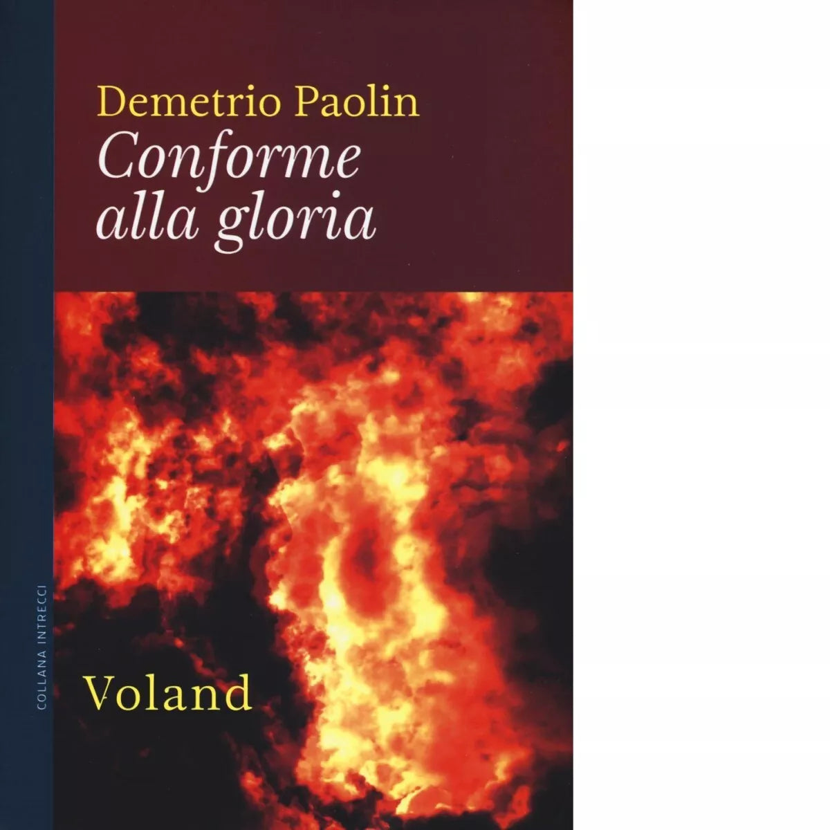 Conforme alla gloria di Demetrio Paolin