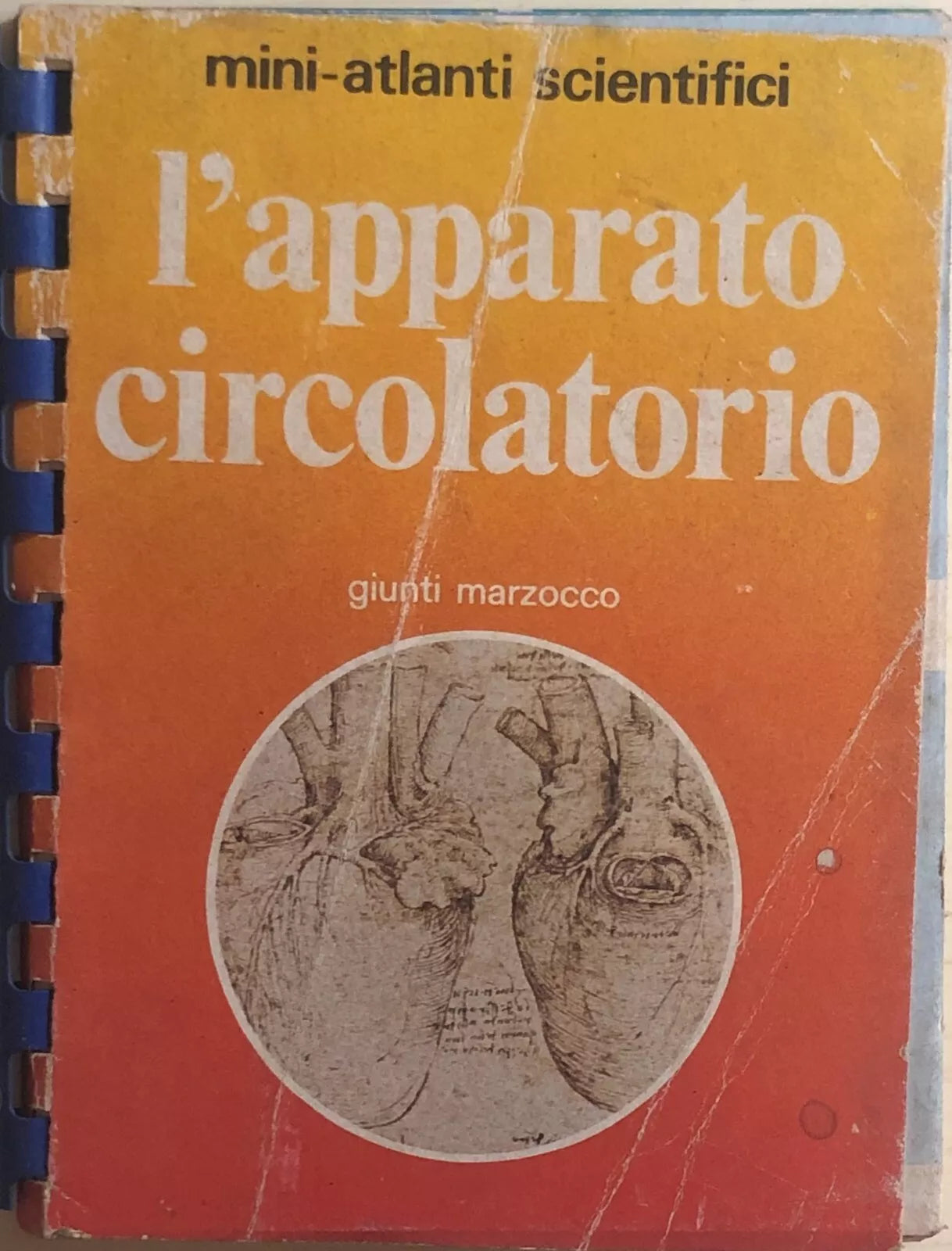 L’apparato circolatorio di Aa.vv., 1981, Giunti Marzocco