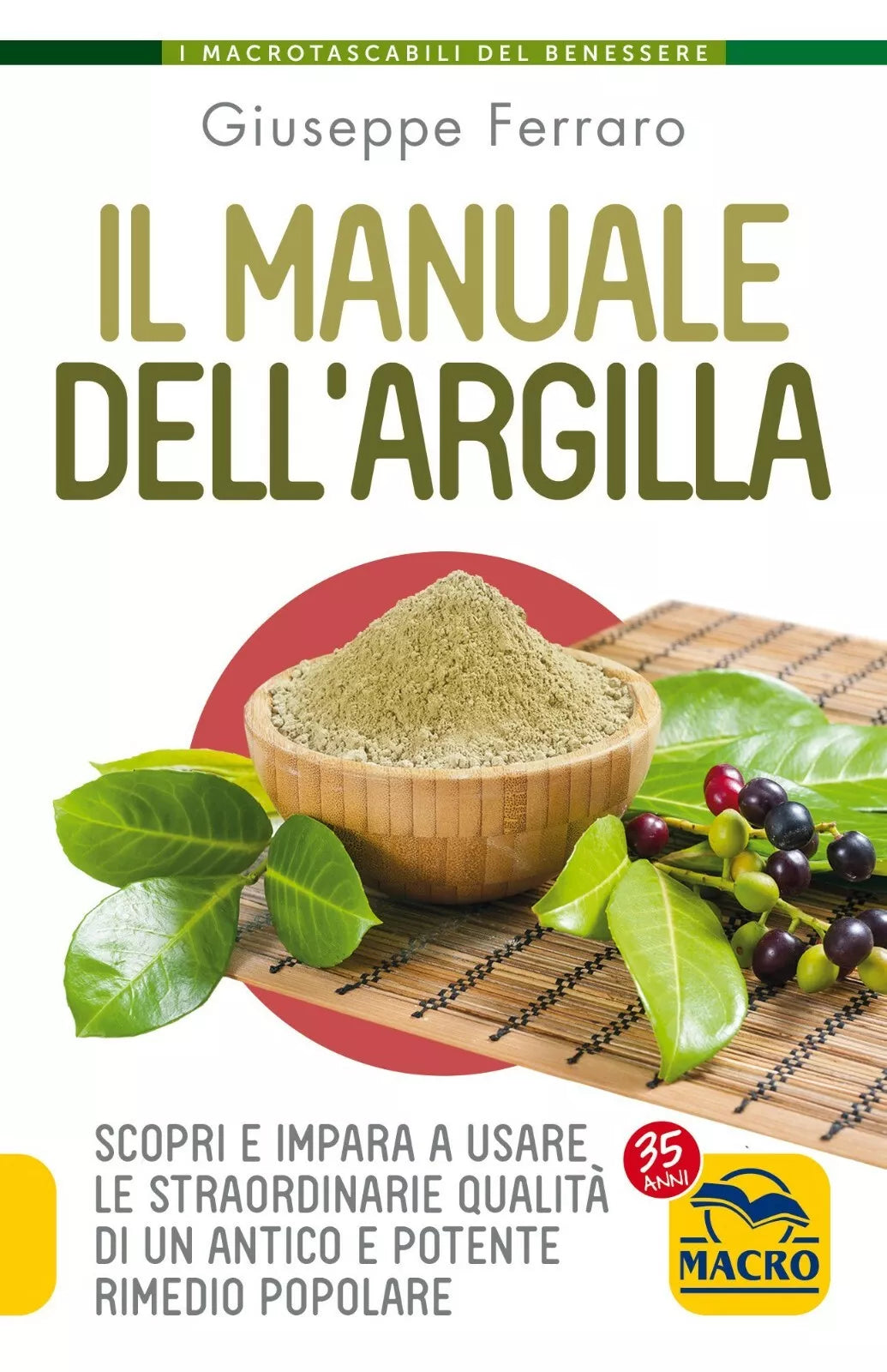 Il manuale dell argilla Scopri e impara a usare le straordinarie qualit di un
