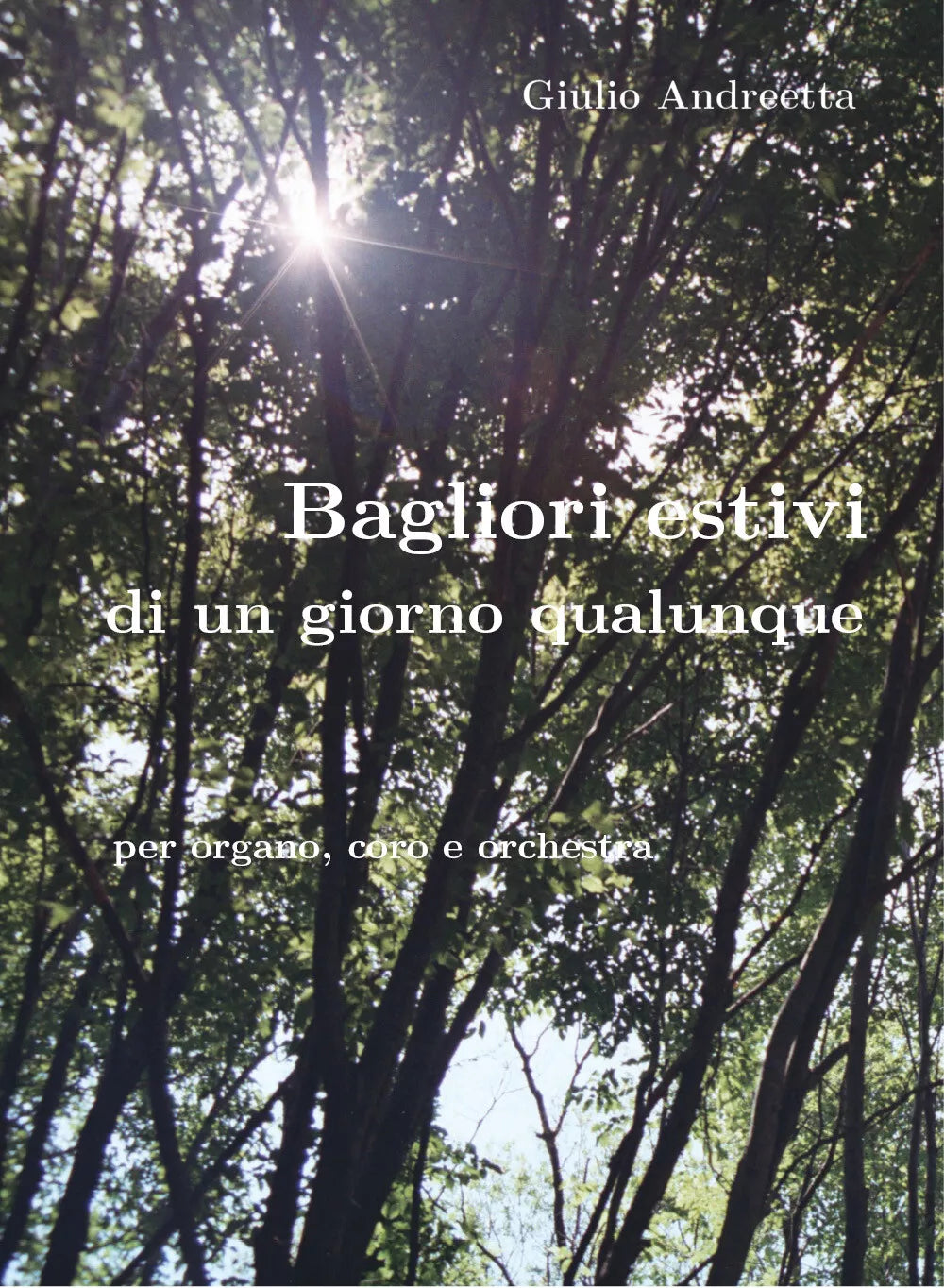 Bagliori estivi di un giorno qualunque di Giulio Andreetta, 2020, Youcanprint
