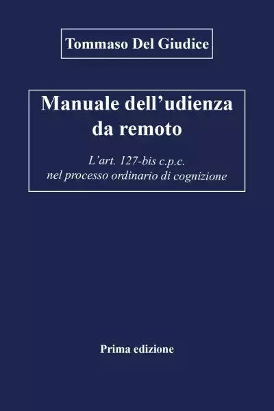 Manuale dell udienza da remoto