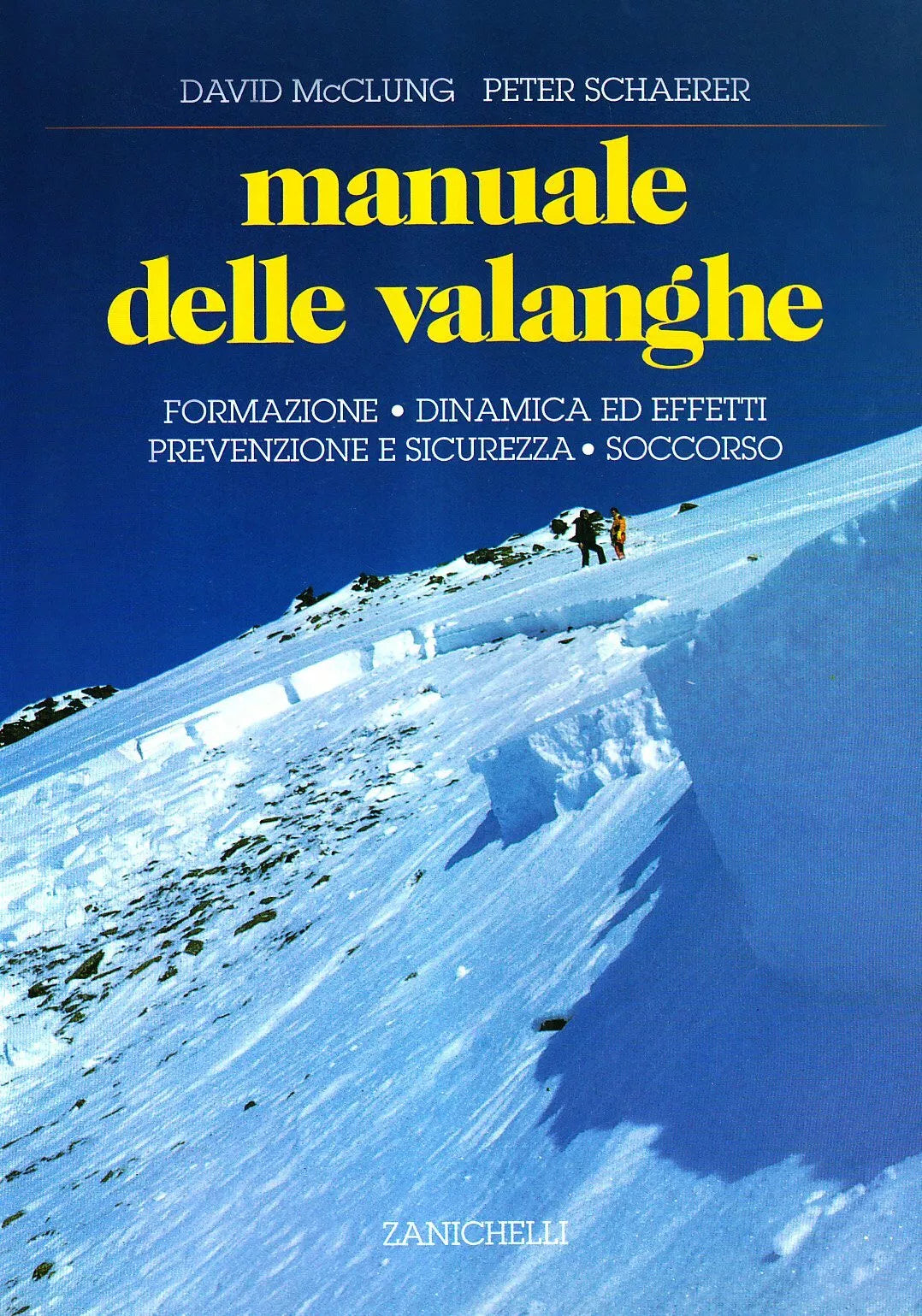 Manuale delle valanghe