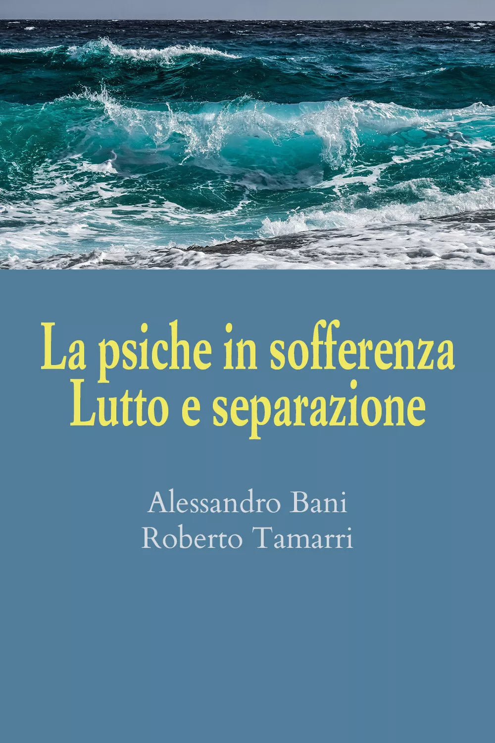 La psiche in sofferenza. Lutto e separazione di Alessandro Bani, Roberto Tamarri