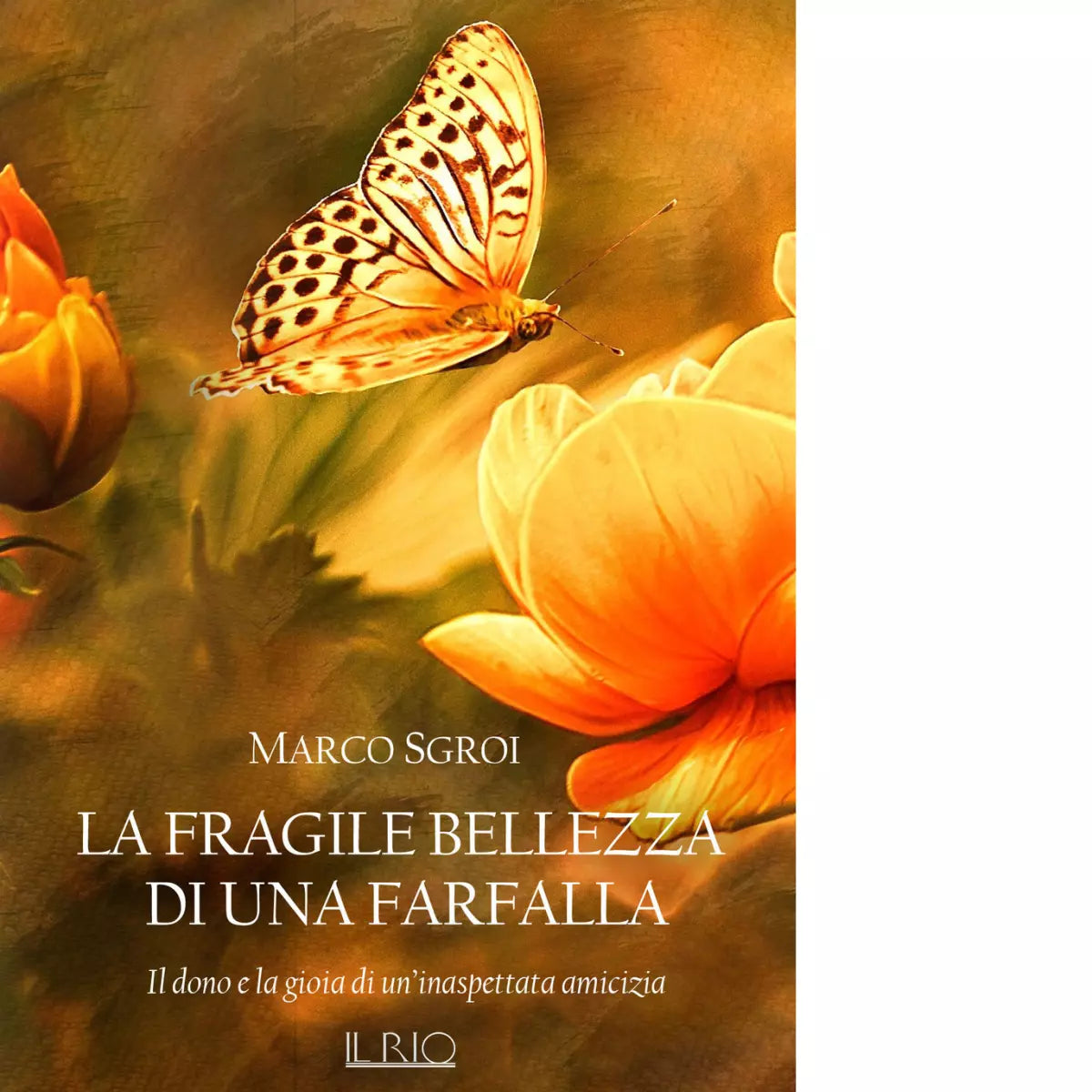 La fragile bellezza di una farfalla di Marco Sgroi