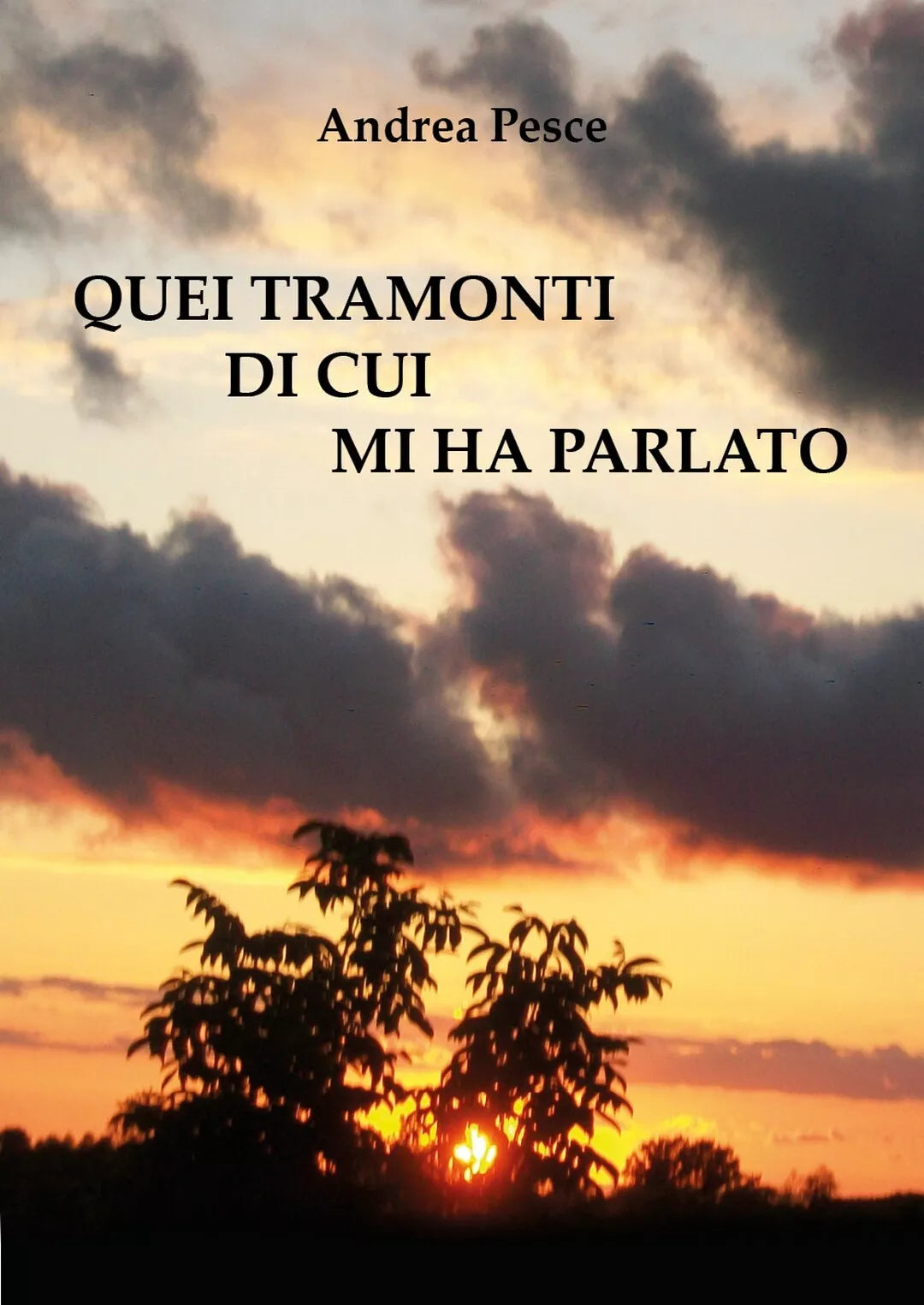 Quei tramonti di cui mi ha parlato di Andrea Pesce, 2017, Youcanprint