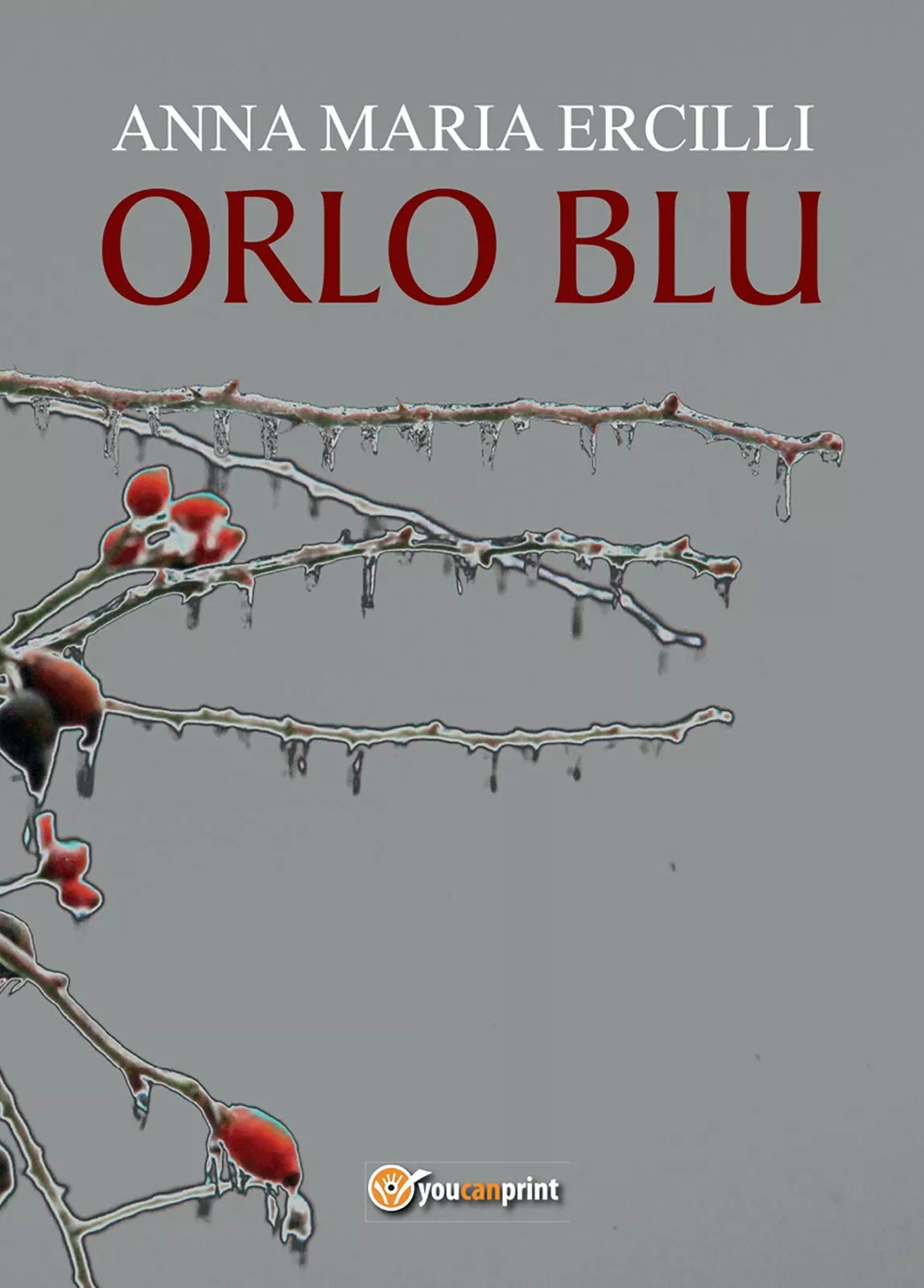 Orlo blu di Anna Maria Ercilli, 2017, Youcanprint