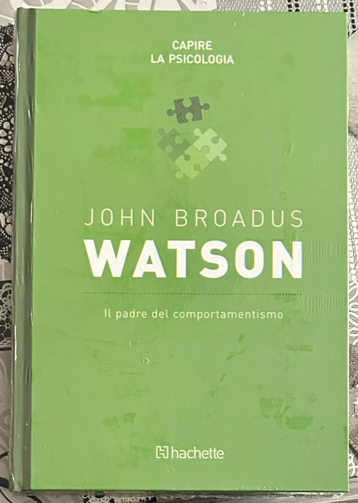 Capire la psicologia n 26