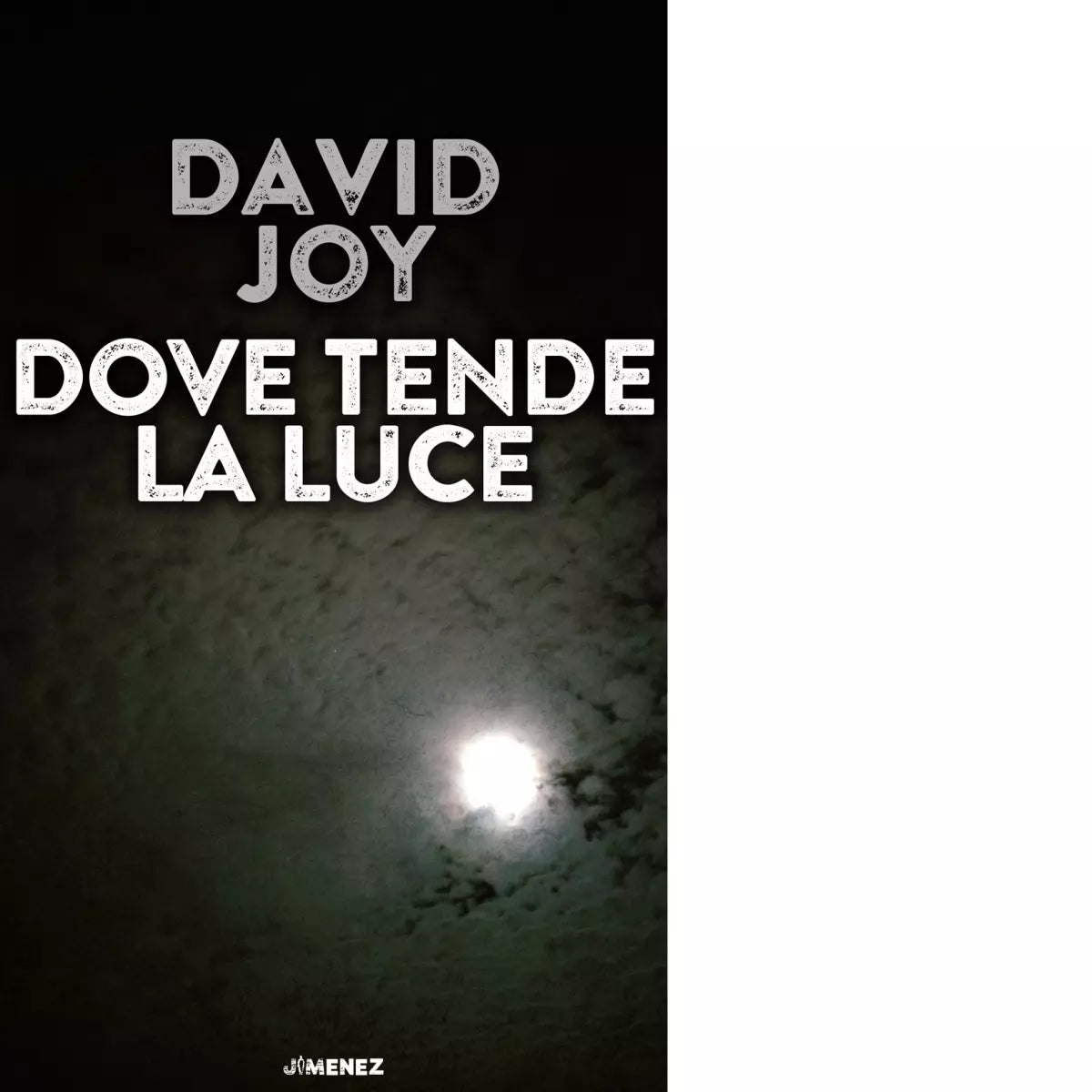 Dove tende la luce di David Joy