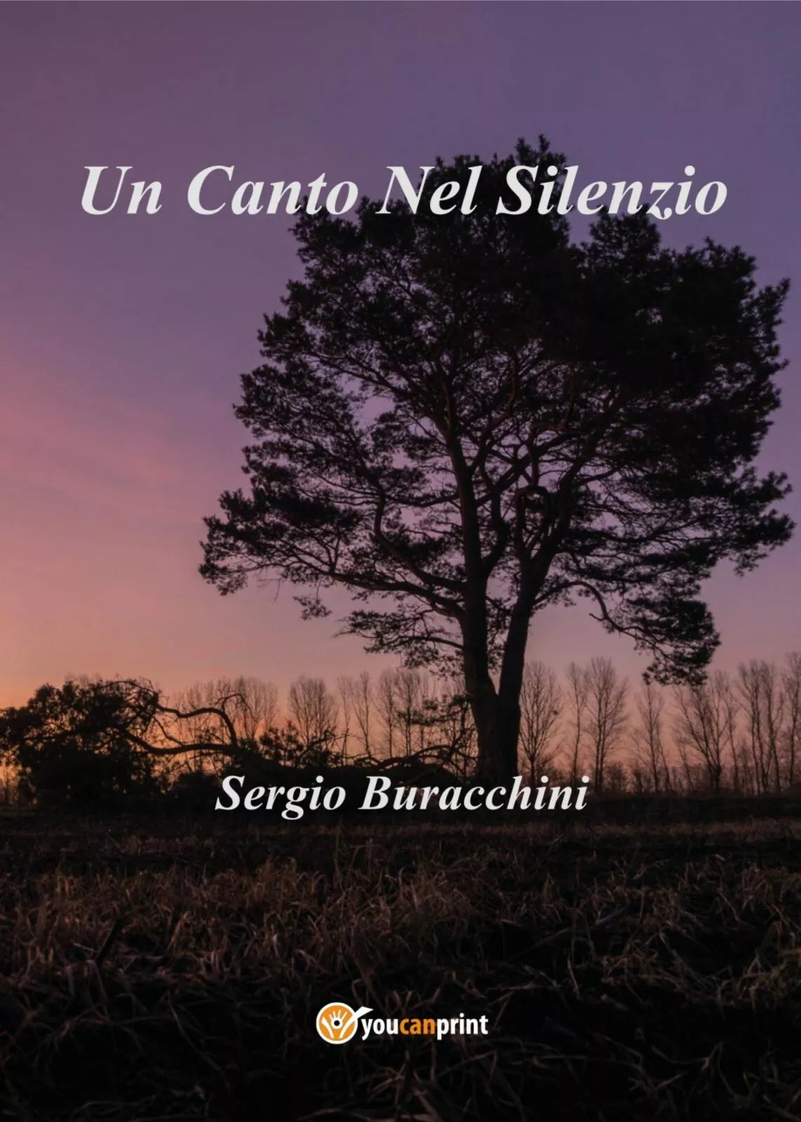 Un canto nel silenzio di Sergio Buracchini, 2017, Youcanprint