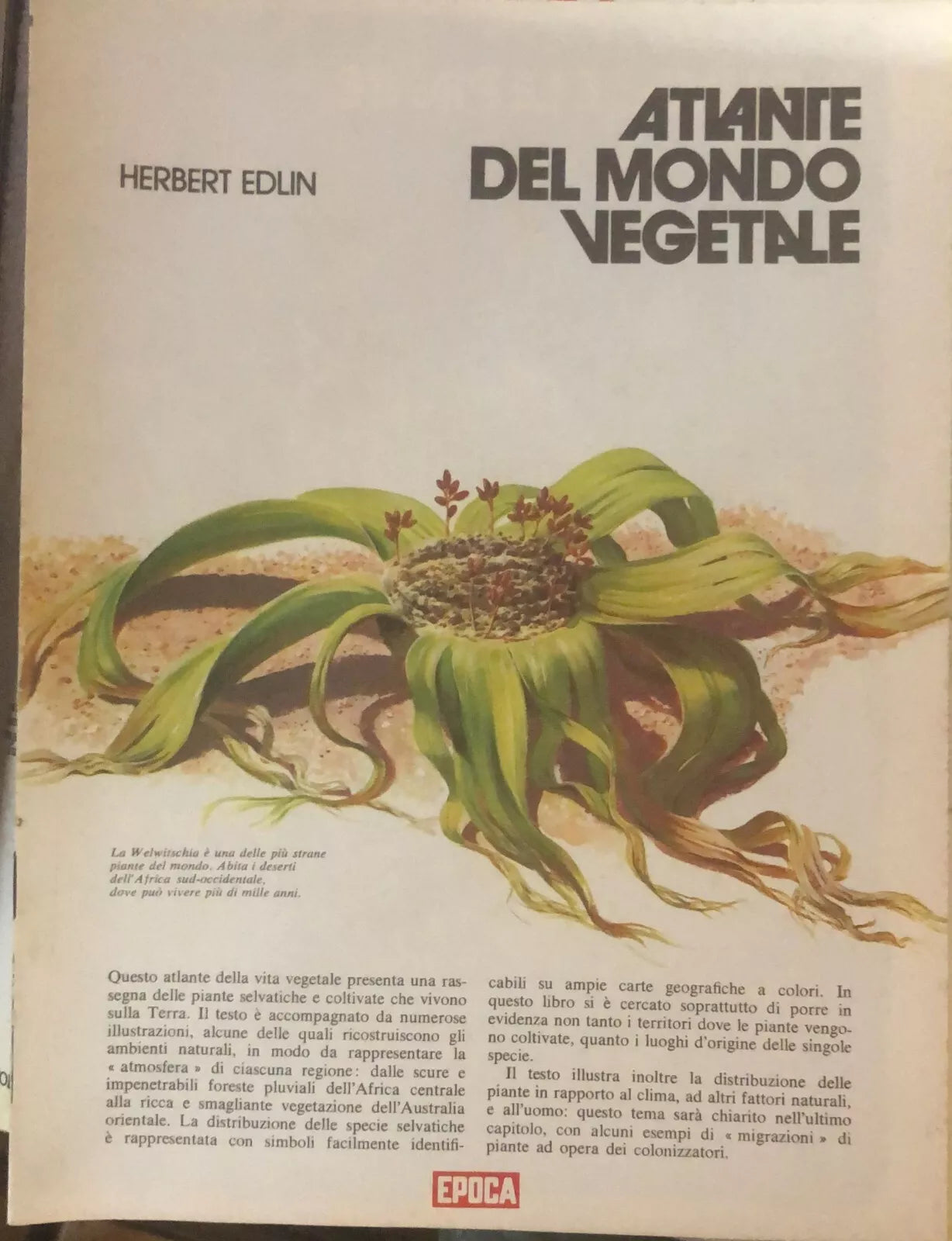 Atlante del mondo vegetale di Herbert Edlin, 1973, Epoca