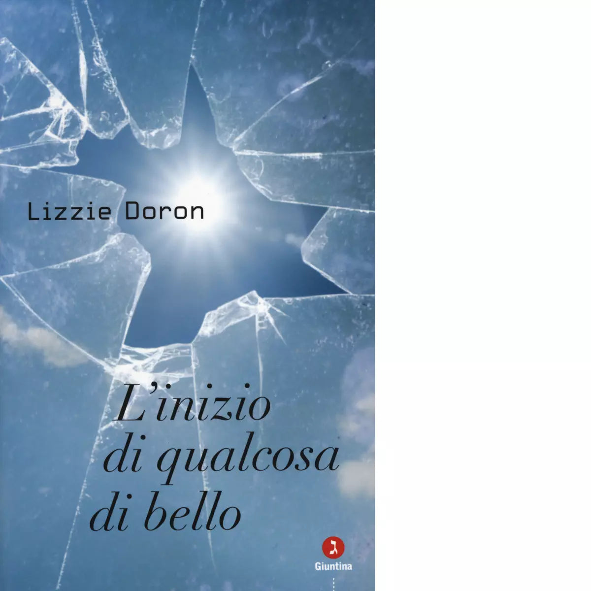 L inizio di qualcosa di bello di Lizzie Doron