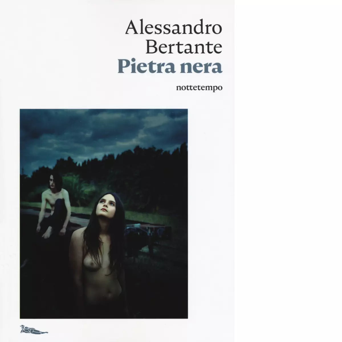 Pietra nera di Alessandro Bertante