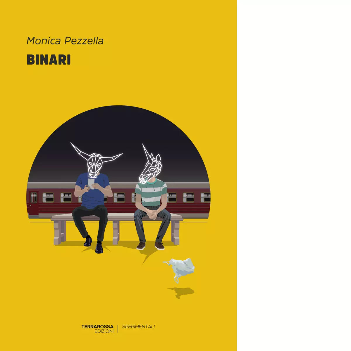 Binari Libro di Monica Pezzella