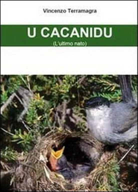 U cacanidu. L’utlimo arrivato di Vincenzo Terramagra, 2011, Youcanprint