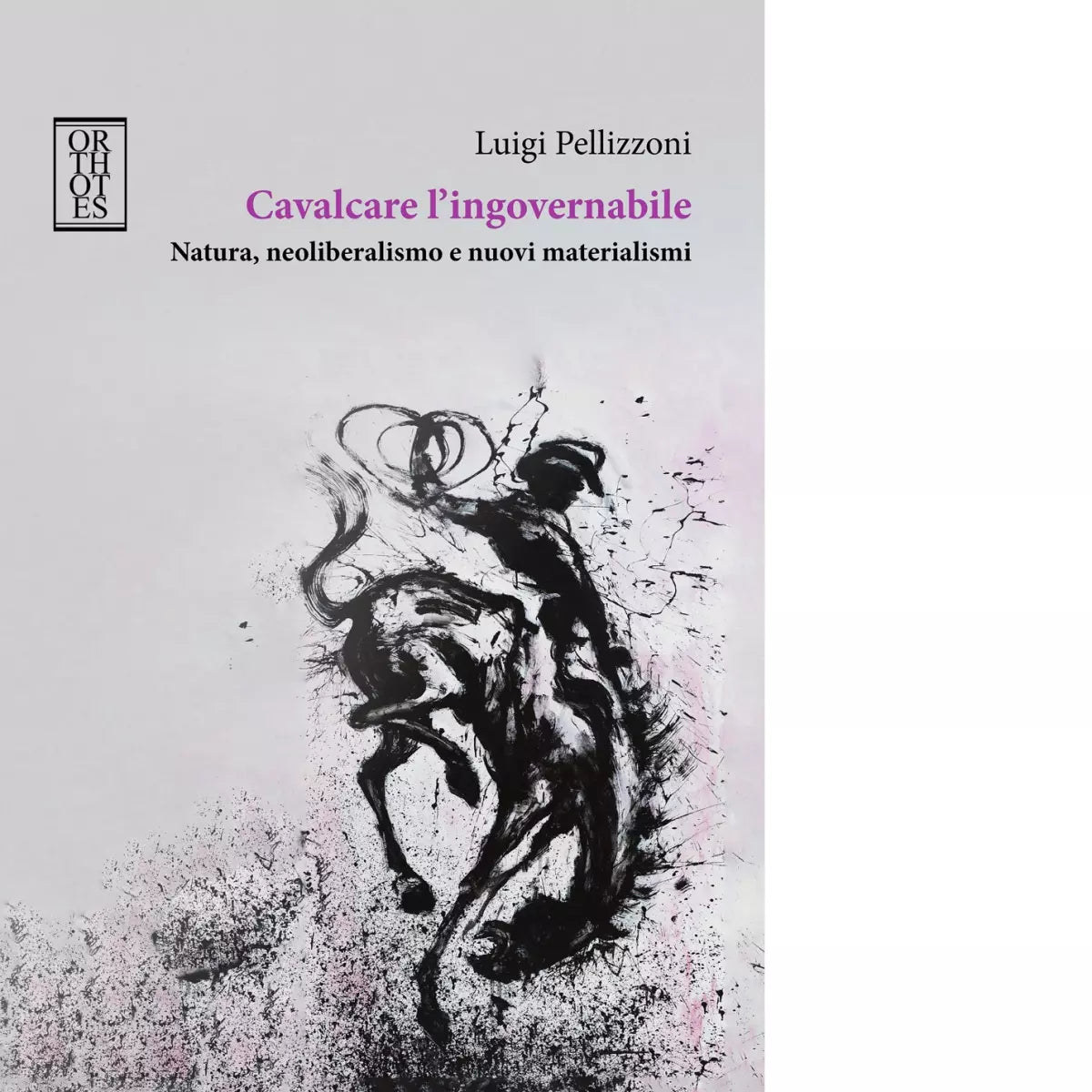 Cavalcare l ingovernabile di Luigi Pellizzoni