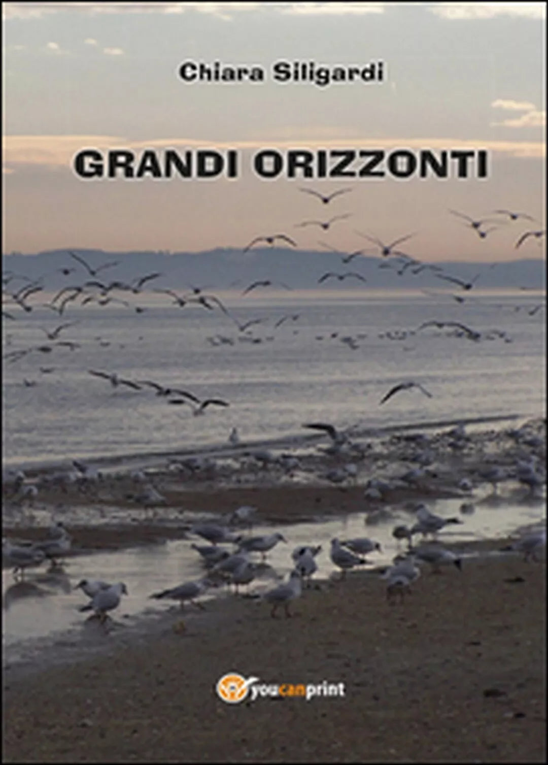 Grandi orizzonti di Chiara Siligardi, 2014, Youcanprint