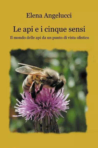 Le api e i cinque sensi di Elena Angelucci