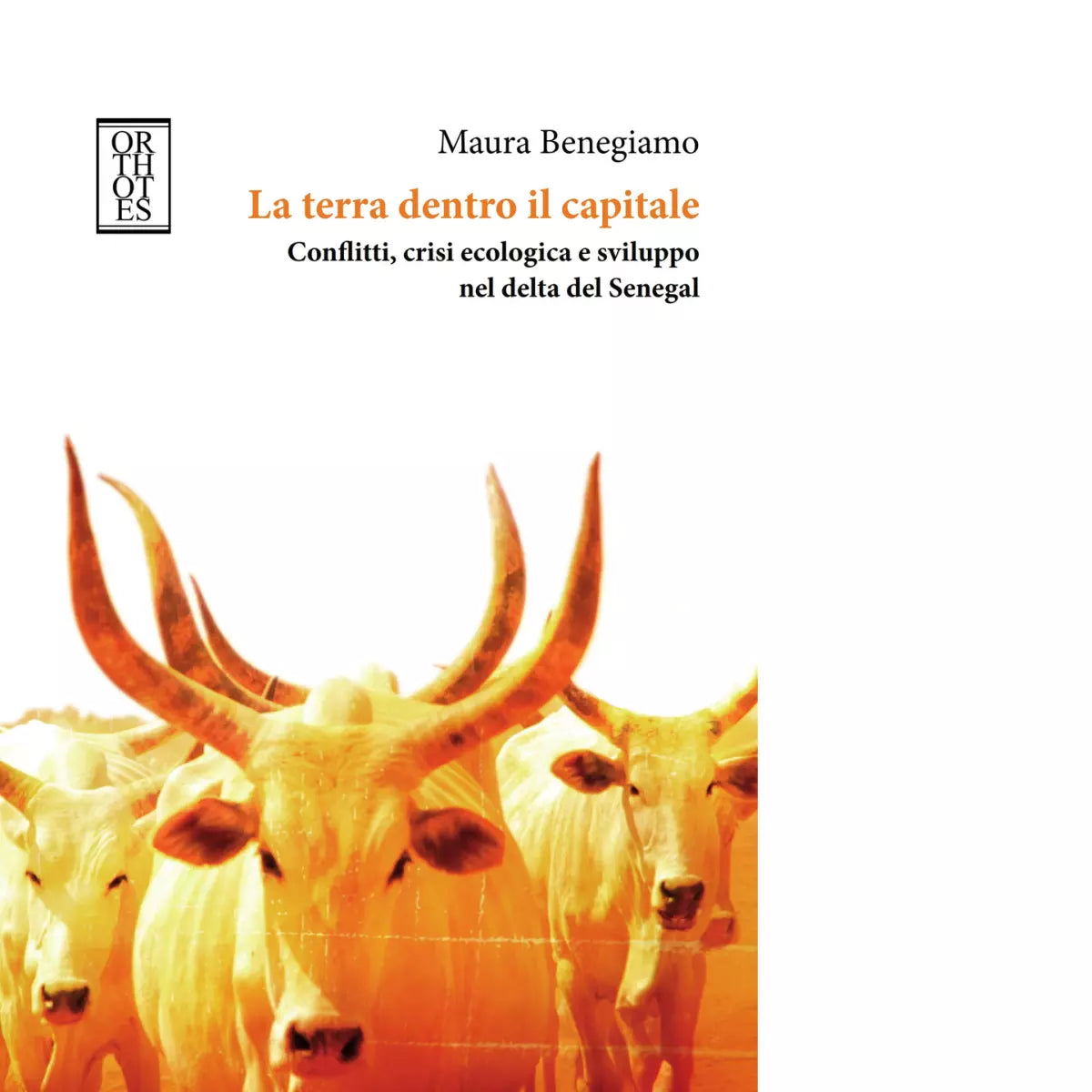 La terra dentro il capitale di Maura Benegiamo