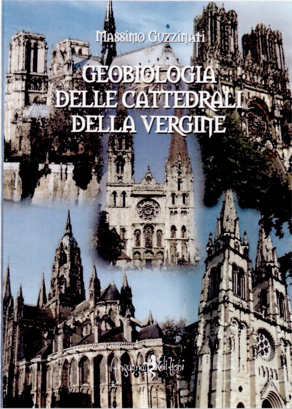 Geobiologia delle cattedrali della vergine di Massimo Guzzinati