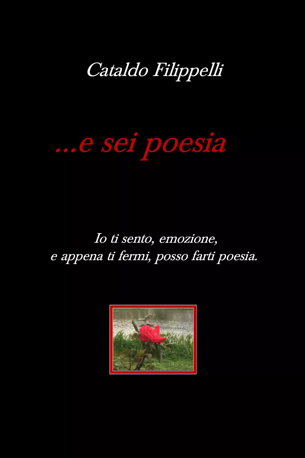 ... e sei poesia di Cataldo Filippelli, 2019, Youcanprint