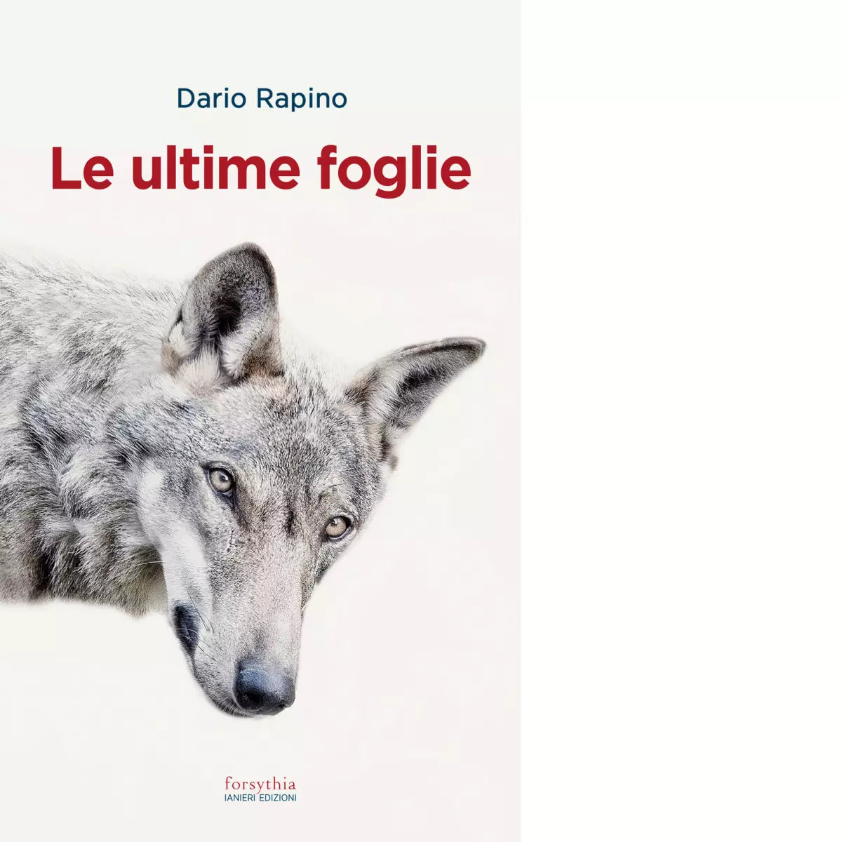 Le ultime foglie di Dario Rapino