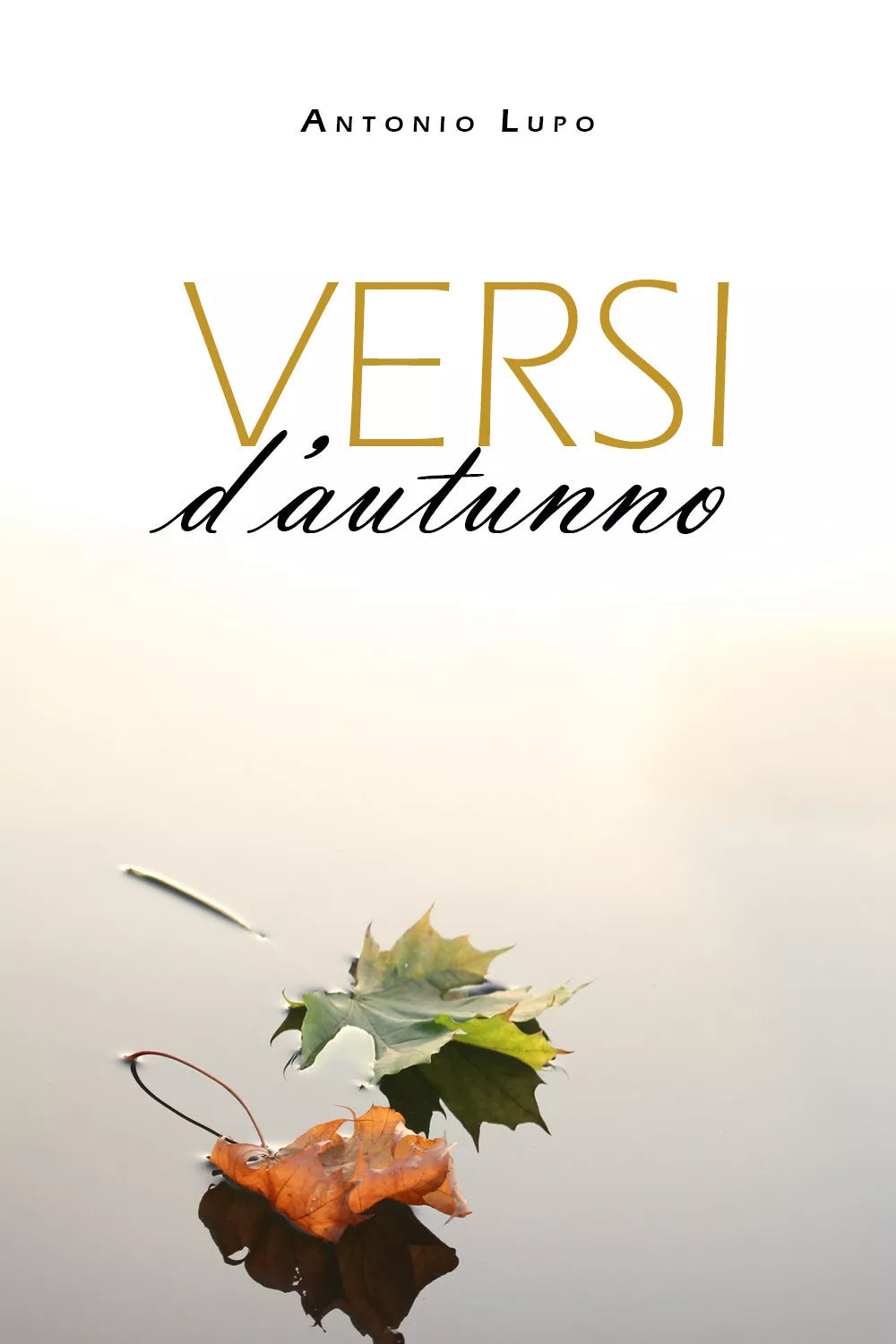 Versi d’autunno di Antonio Lupo, 2019, Youcanprint