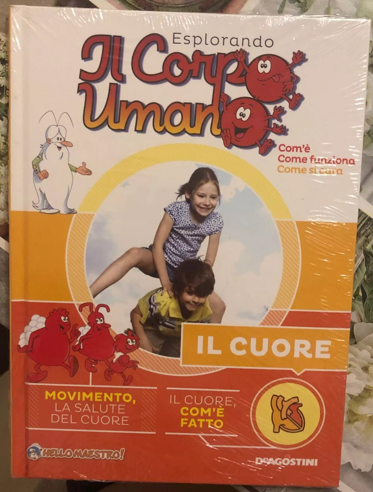 Esplorando il corpo umano n 1