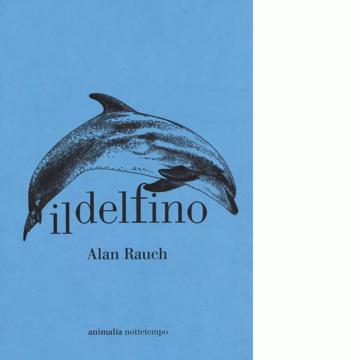 Il delfino di Alan Rauch