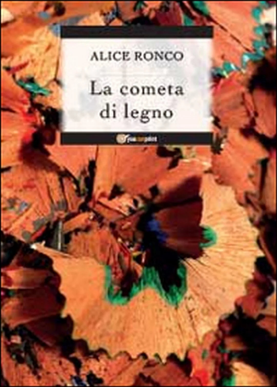 La cometa di legno di Alice Ronco, 2014, Youcanprint