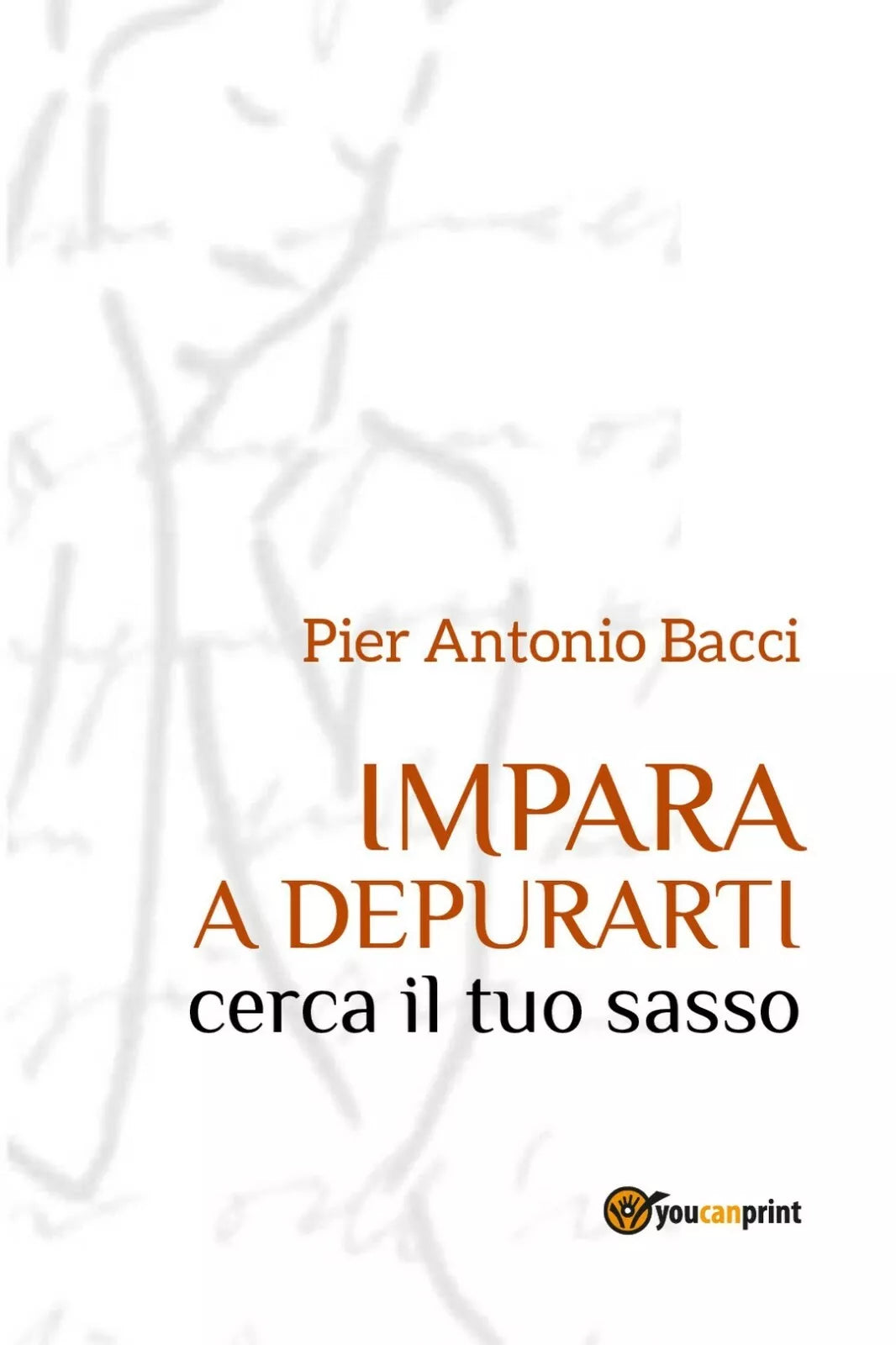 Impara a Depurarti cerca il tuo sasso, Pier Antonio Bacci, 2017, Youcanprint