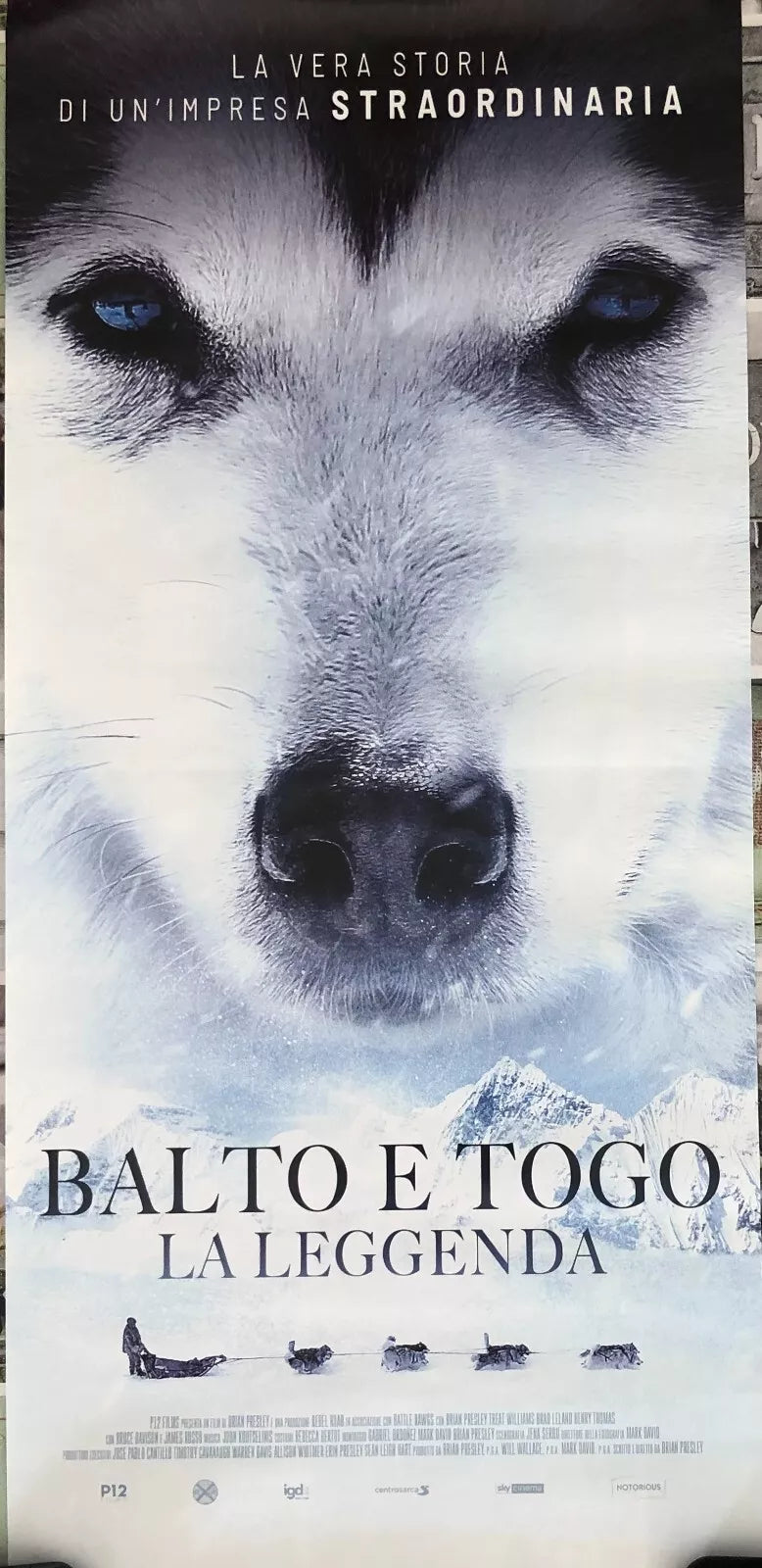 Poster locandina Balto e Togo