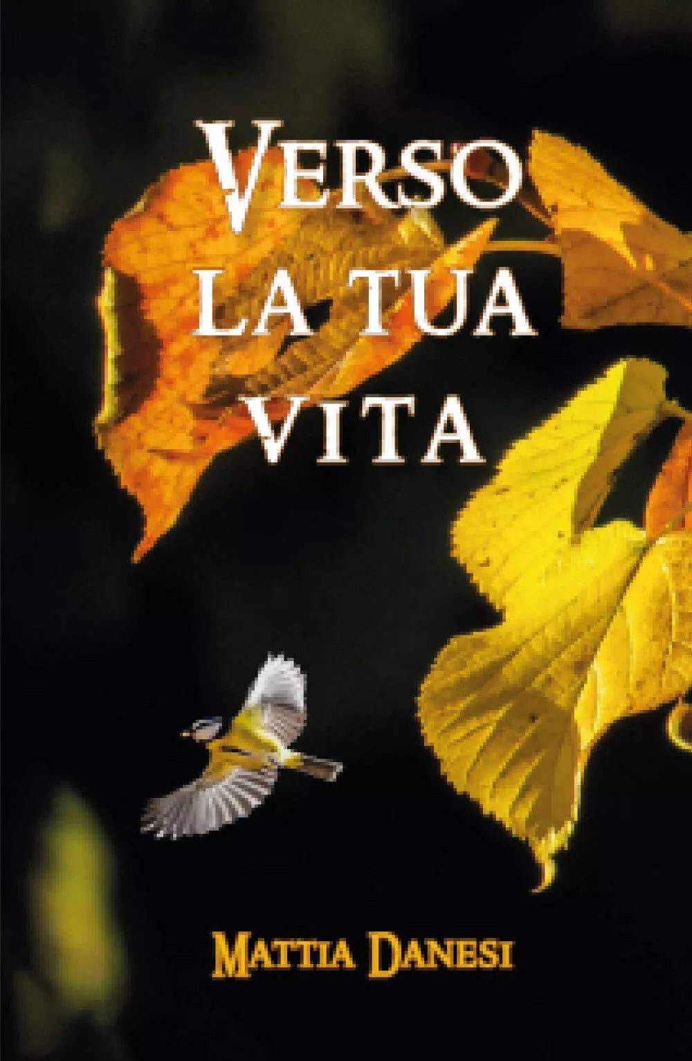 Verso la tua vita di Mattia Danesi, 2019, Youcanprint