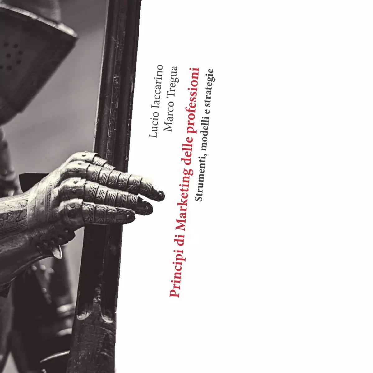 Principi di marketing delle professioni di Lucio Iaccarino