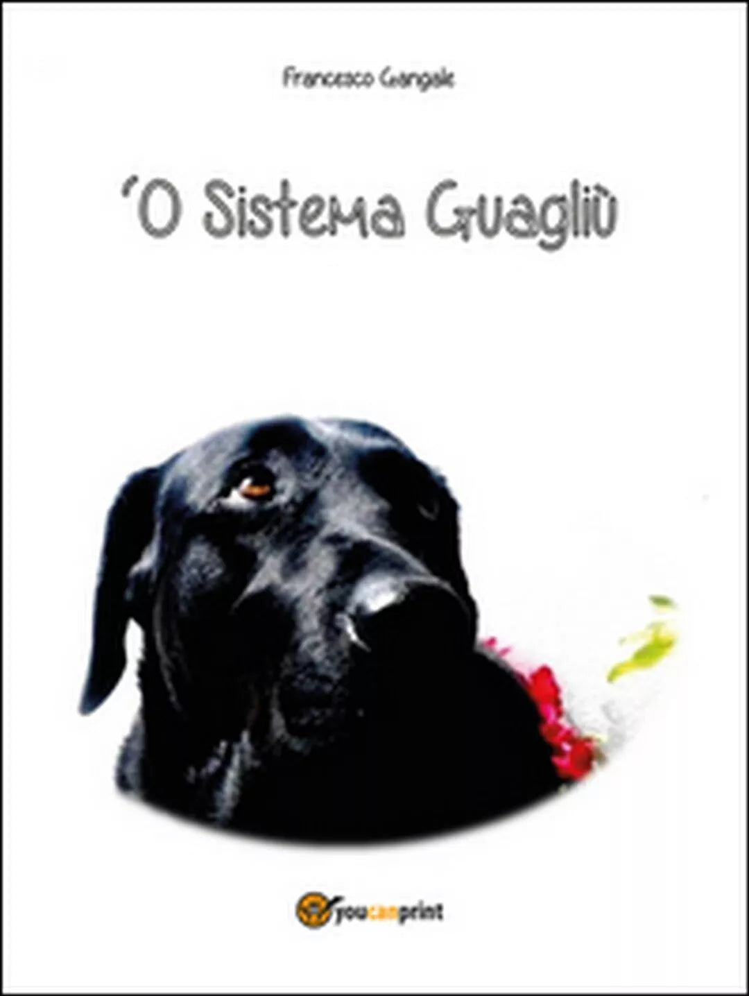 ’O sistema guagliu di Francesco Gangale, 2016, Youcanprint