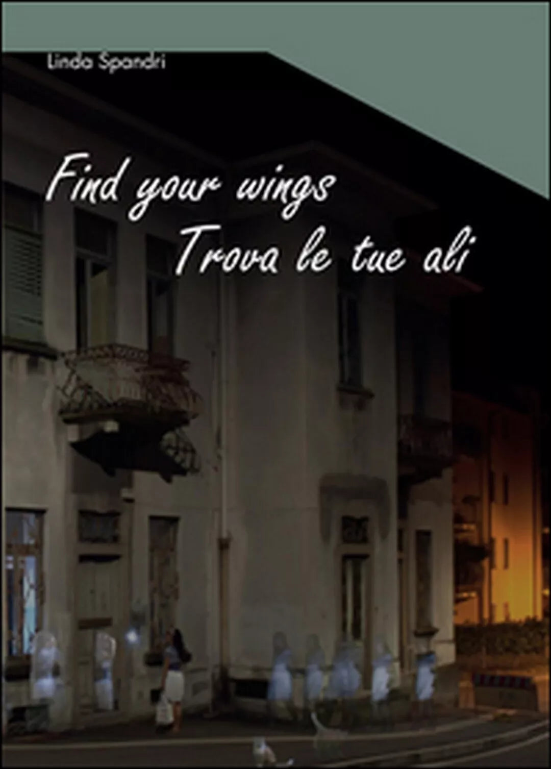 Find your wings di Linda Spandri, 2015, Youcanprint