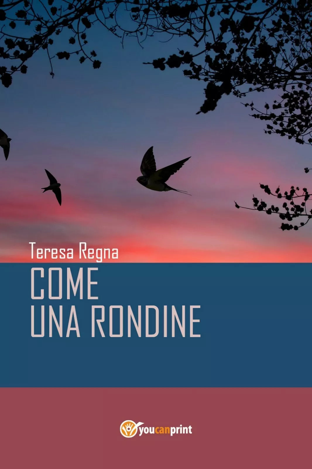 Come una rondine di Teresa Regna, 2017, Youcanprint