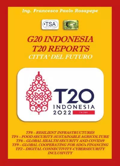 G20 INDONESIA T20 REPORTS CITT FUTURE di Francesco Paolo Rosapepe