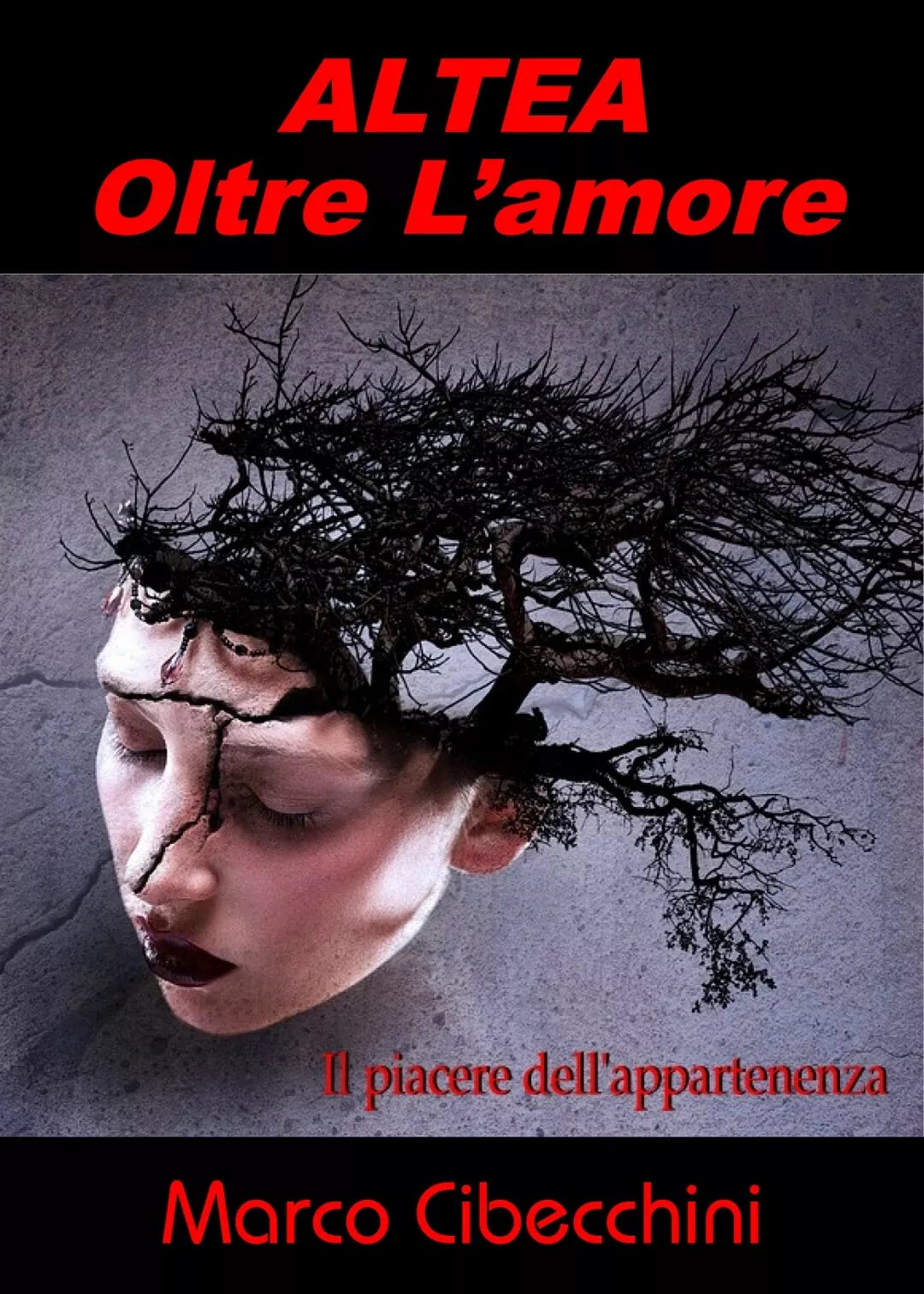 Altea Oltre l’amore di Marco Cibecchini, 2019, Youcanprint