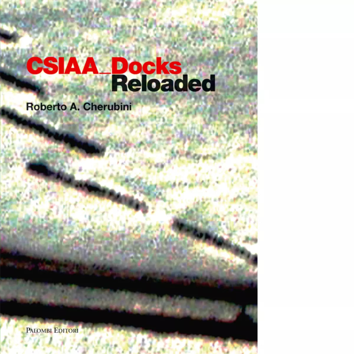 CSIAA Docks reloaded Ediz italiana e inglese di Roberto A Cherubini