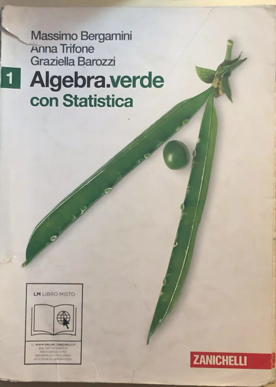 Algebra verde con statistica di AA.VV., 2011, Zanichelli