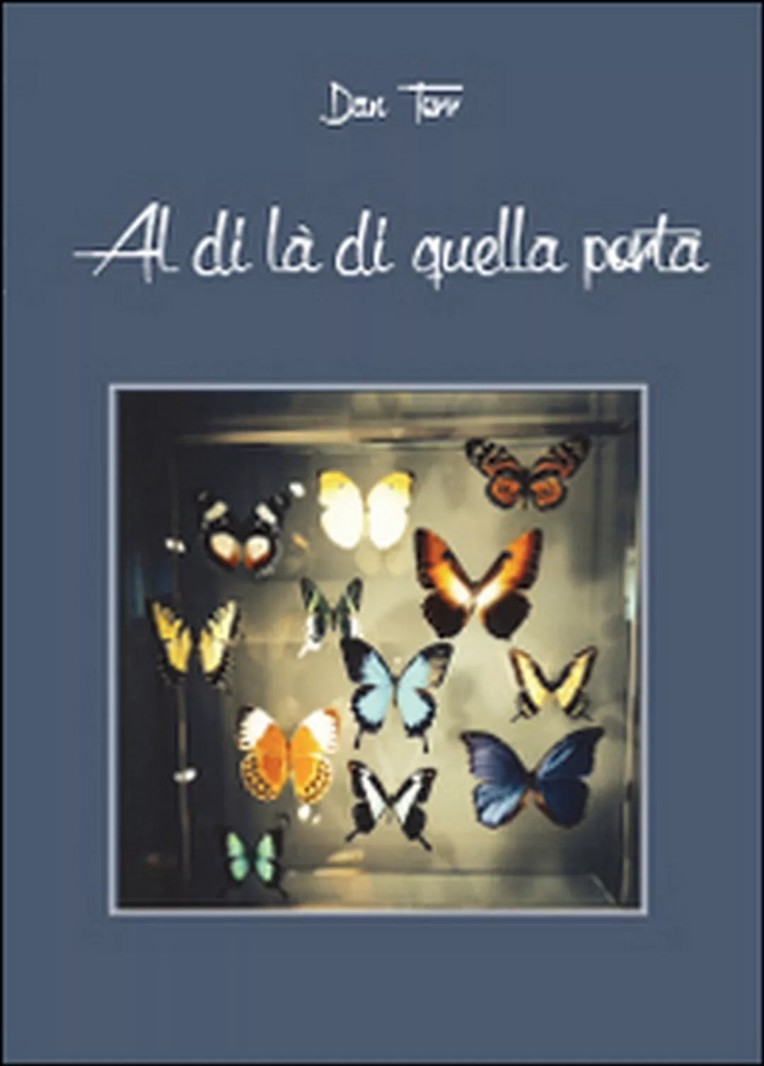 Al di la di quella porta di Dan Torr, 2014, Youcanprint