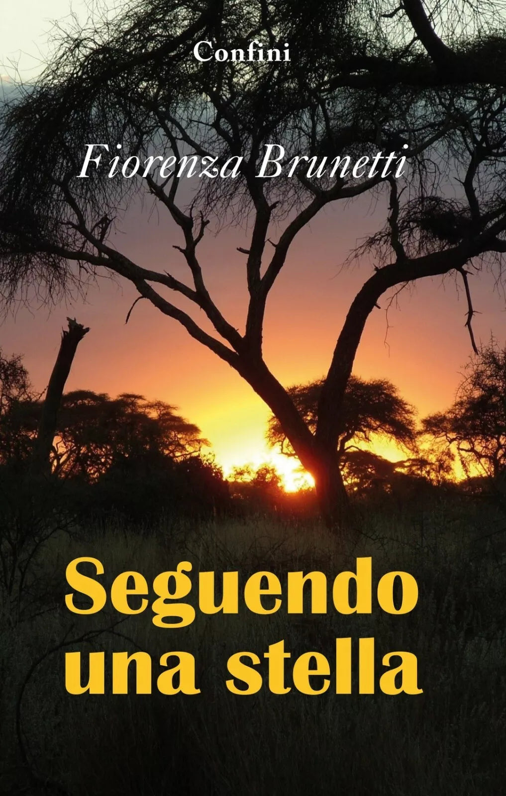 Seguendo una stella di Fiorenza Brunetti, 2020, Youcanprint
