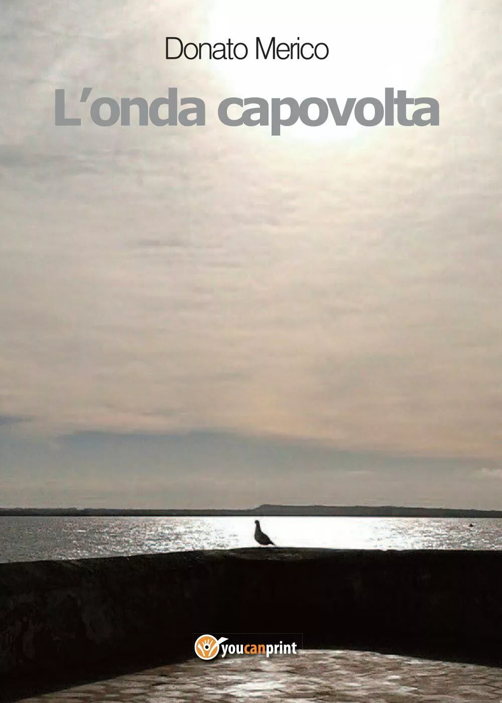 L’onda capovolta di Donato Merico, 2017, Youcanprint