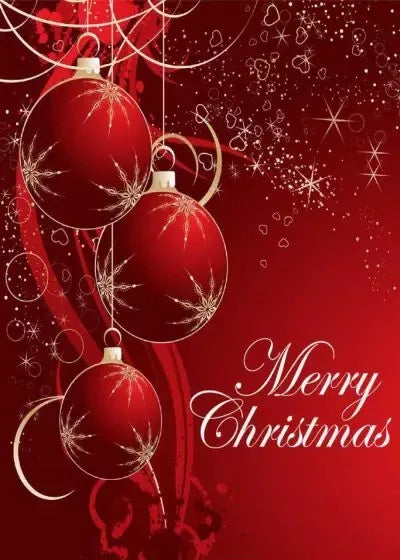 Merry Christmas di Sentinelle Divina Misericordia