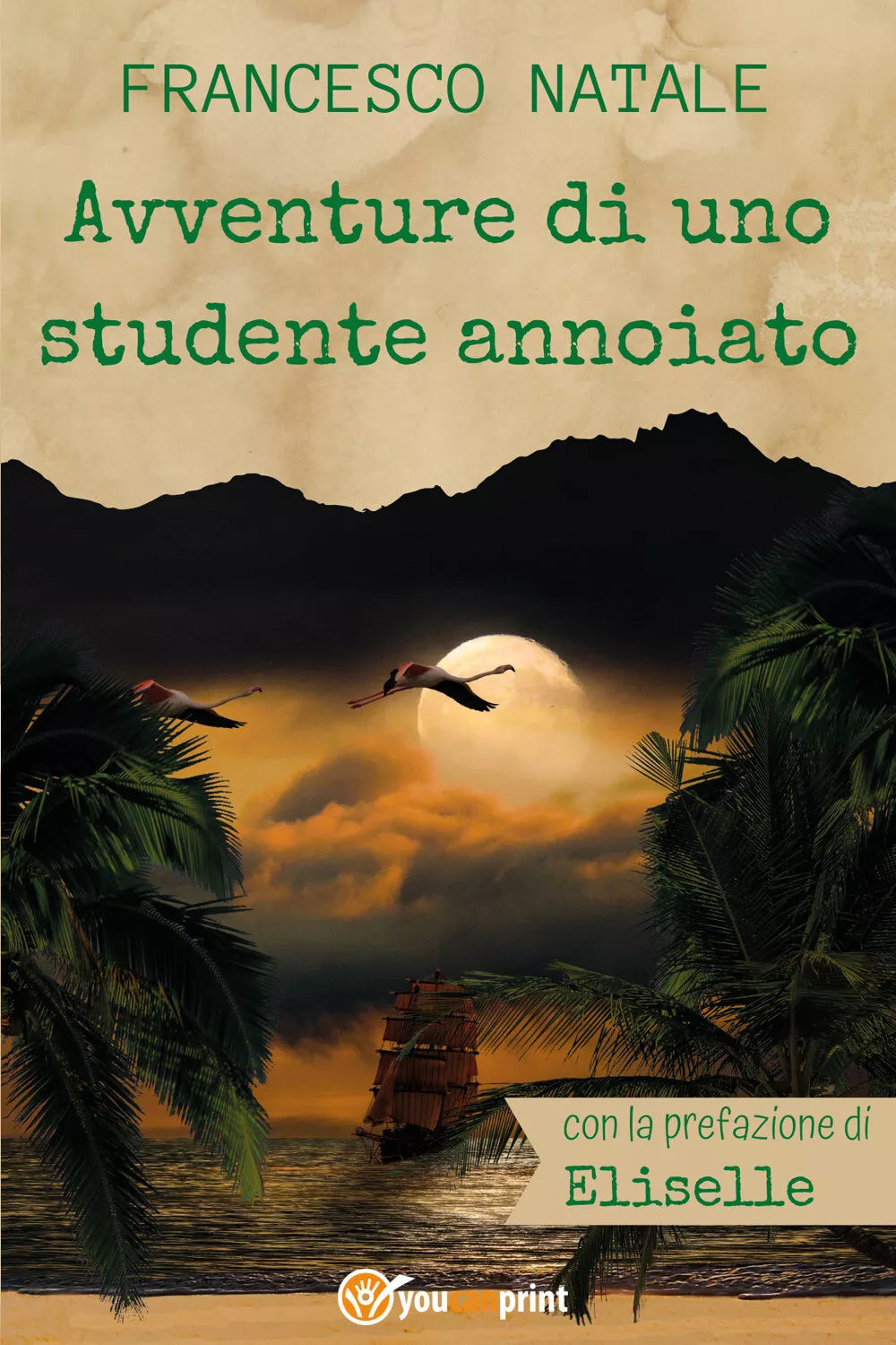Avventure di uno studente annoiato di Francesco Natale