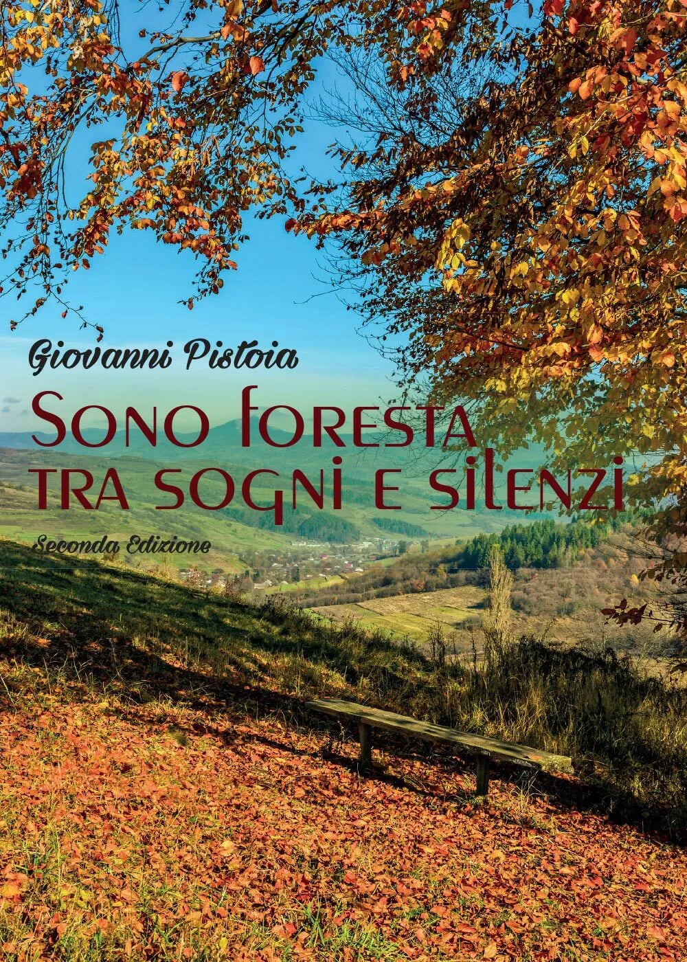 Sono foresta tra sogni e silenzi di Giovanni Pistoia, 2016, Youcanprint