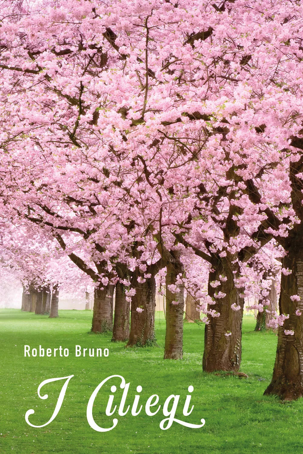 I Ciliegi di Roberto Bruno